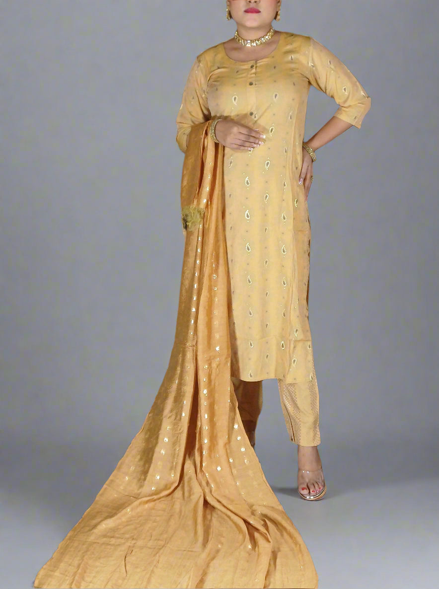 Harini Three Piece Straight Cut Kurti Set