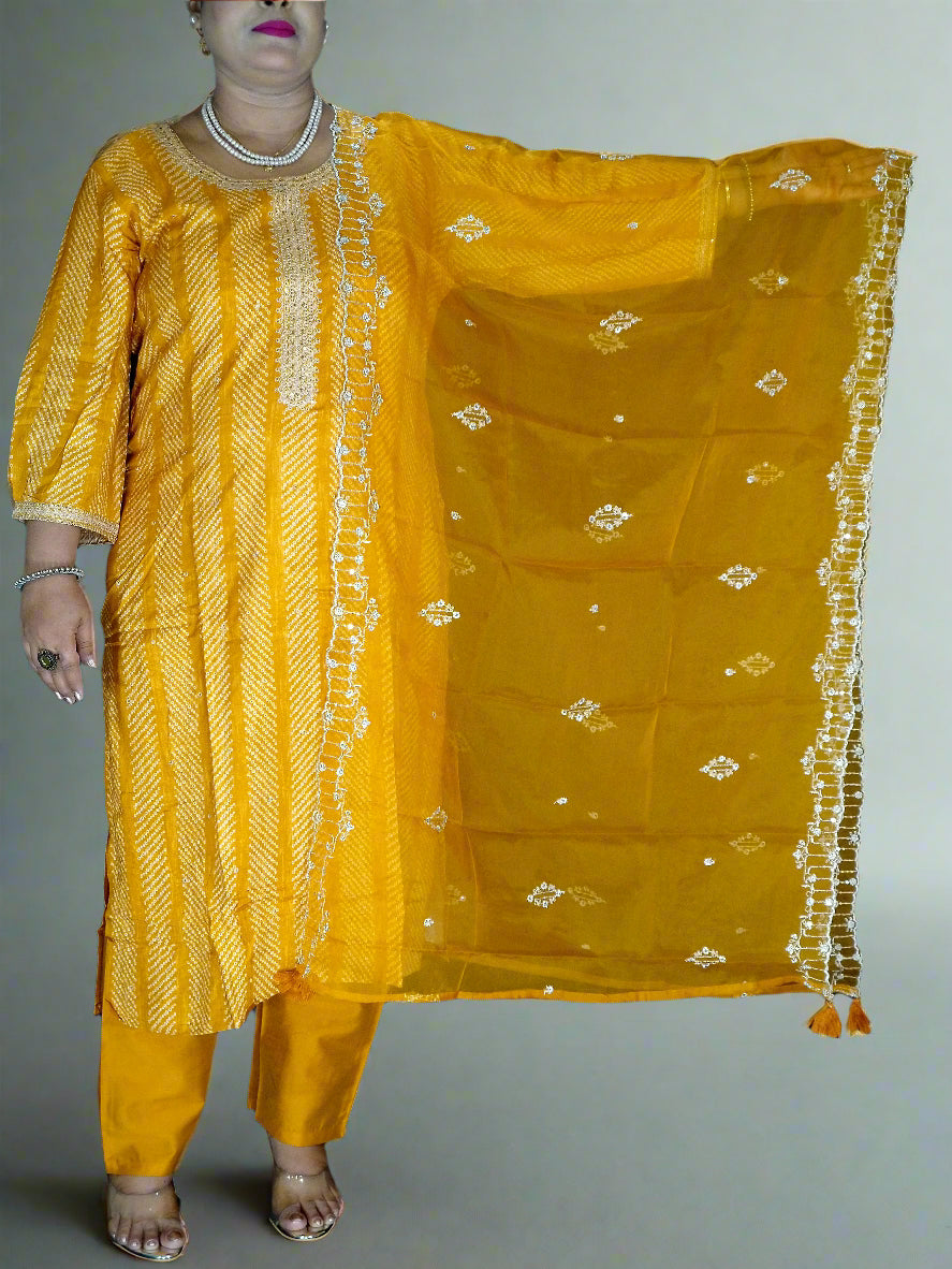Harini Three Piece Straight Cut Kurti Set